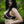 Load image into Gallery viewer, Mischief Bikini Top
