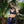 Load image into Gallery viewer, Purple Widow Athletic Shorts