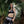 Load image into Gallery viewer, Unholy Bikini Top