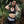 Load image into Gallery viewer, Unholy Athletic Shorts