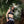 Load image into Gallery viewer, Unholy Athletic Shorts