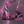 Load image into Gallery viewer, Pink Lethal Lightning Bikini Top