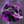 Load image into Gallery viewer, Purple Lethal Lightning Athletic Shorts