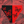 Load image into Gallery viewer, Red Metamorphosis High-Waisted Bikini Bottom
