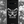 Load image into Gallery viewer, Bone Butterfly Samsung Case